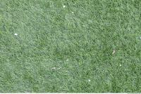 Photo Texture of Plastic Grass 0001